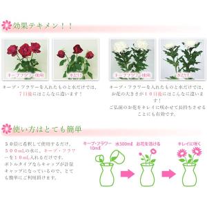 キープフラワー 500ml フジ日本 切花延命...の詳細画像1