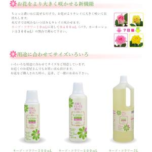 キープフラワー 500ml フジ日本 切花延命...の詳細画像2