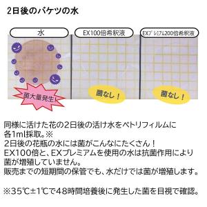 キープフラワー EXプレミアム 20L 切花加...の詳細画像4