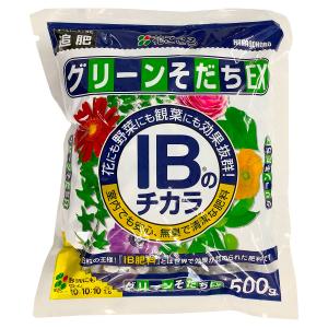 肥料 IBのチカラ グリーンそだち EX 500g 花ごころ 肥料 野菜 肥料 花 肥料 草花 肥料 観葉植物 肥料 野菜の肥料 野菜肥料 IB肥料 IB化成肥料 化成肥料 M1