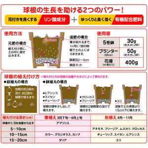 肥料 球根の肥料 400g 花ごころ 肥料 球...の詳細画像1