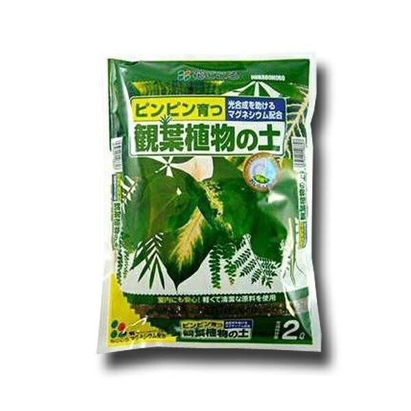 培養土 観葉植物の土 2L 花ごころ 培養土 観葉植物 土 観葉植物 培養土 観葉植物 園芸用土 観...