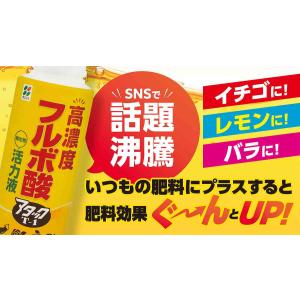 高濃度フルボ酸活力液アタックT-1 600ml...の詳細画像1