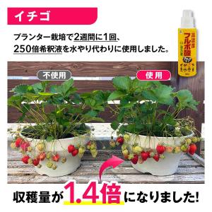高濃度フルボ酸活力液アタックT-1 600ml...の詳細画像2