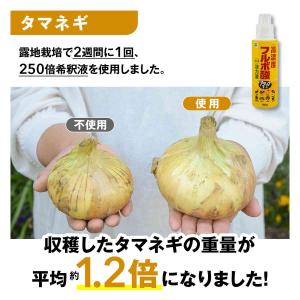 高濃度フルボ酸活力液アタックT-1 600ml...の詳細画像3