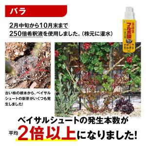 高濃度フルボ酸活力液アタックT-1 600ml...の詳細画像4
