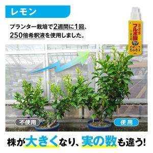 高濃度フルボ酸活力液アタックT-1 600ml...の詳細画像5