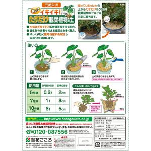 観葉植物 土 たすだけ観葉植物の土 3L 花ご...の詳細画像1