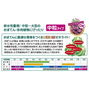 培養土 さぼてん多肉植物の土 中粒タイプ 10...の詳細画像1
