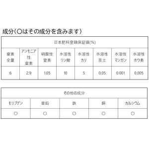 肥料 ハイポネックス液 6-10-5 10kg...の詳細画像1