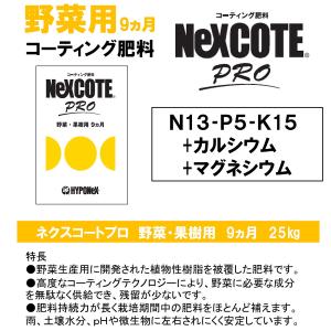 肥料 ネクスコートプロ 野菜苗・果樹苗用 肥効...の詳細画像1