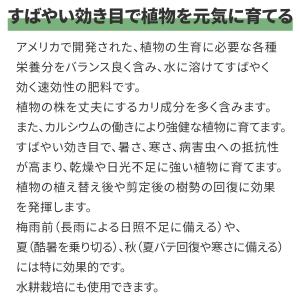 肥料 微粉 ハイポネックス 120g ハイポネ...の詳細画像2