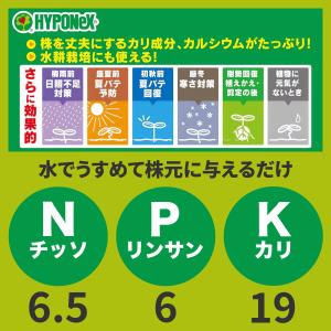 肥料 微粉 ハイポネックス 500g ハイポネ...の詳細画像3