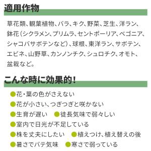 肥料 微粉 ハイポネックス 500g ハイポネ...の詳細画像4