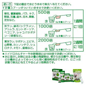 肥料 微粉 ハイポネックス 500g ハイポネ...の詳細画像5