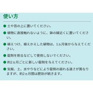 肥料 プロミック錠剤肥料 シンビジューム・クン...の詳細画像2