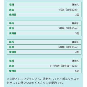 肥料 プロミック錠剤肥料 シンビジューム・クン...の詳細画像3