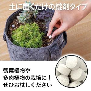肥料 BotaNice (ボタナイス) 置くだ...の詳細画像1
