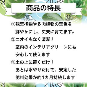肥料 BotaNice (ボタナイス) 置くだ...の詳細画像2