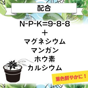 肥料 BotaNice (ボタナイス) 置くだ...の詳細画像3