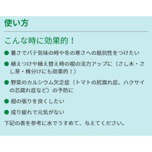 リキダス 植物用活力液 800ml ハイポネッ...の詳細画像4