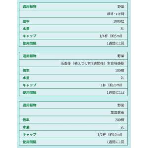 リキダス 植物用活力液 800ml ハイポネッ...の詳細画像5