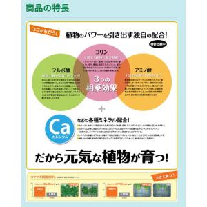 リキダス エコパック 植物用活力液 720ml...の詳細画像3