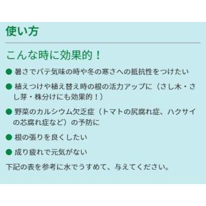 リキダス エコパック 植物用活力液 720ml...の詳細画像4
