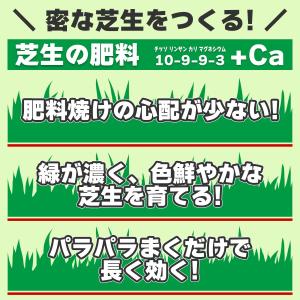 肥料 芝生の肥料 500g ハイポネックス 肥...の詳細画像1