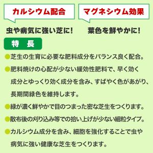 肥料 芝生の肥料 500g ハイポネックス 肥...の詳細画像2