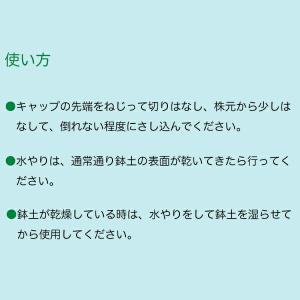 【New Roses 書籍付 先着順なくなり次...の詳細画像2
