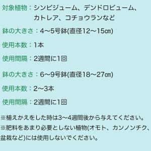 【New Roses 書籍付 先着順なくなり次...の詳細画像3
