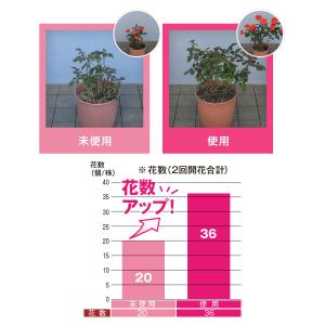 BrilliantGarden バラのストレス...の詳細画像3