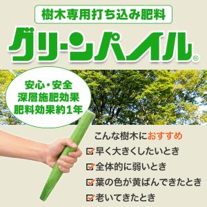 肥料 業務用 グリーンパイル 打込み肥料 ミニ...の詳細画像1