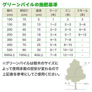 肥料 業務用 グリーンパイル 打込み肥料 ミニ...の詳細画像4