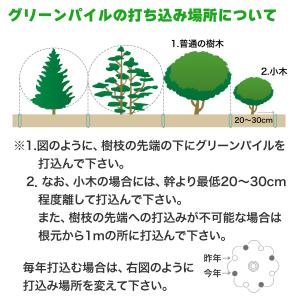 肥料 業務用 グリーンパイル 打込み肥料 ミニ...の詳細画像5