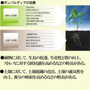 肥料 ボンバルディア 20L ハイポネックス ...の詳細画像3
