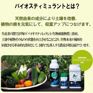 肥料 ボンバルディア 20L ハイポネックス ...の詳細画像5