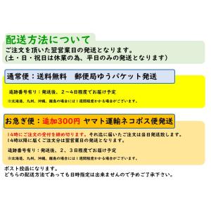 インドネシア・シンガポール・タイ・マレーシア4...の詳細画像5