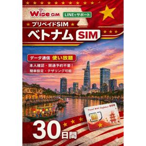 ベトナムSIM 利用日数30日間 データ通信使い...の商品画像
