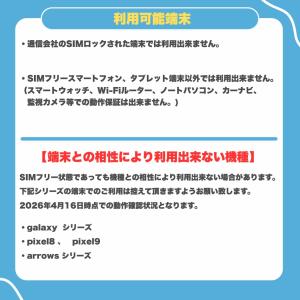 ベトナムSIM 利用日数30日間 データ通信使...の詳細画像2