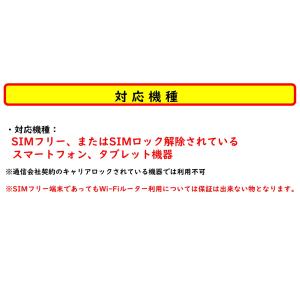 ★docomo プリペイドSIM データSIM...の詳細画像2