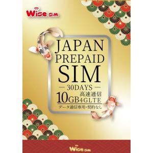 docomo・au回線接続  データ容量10GB 最大利用期間 30日