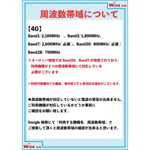 ヨーロッパ周遊50ヵ国 プリペイドSIMカード...の詳細画像2