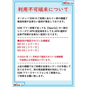ヨーロッパ周遊50ヵ国 プリペイドSIMカード...の詳細画像3