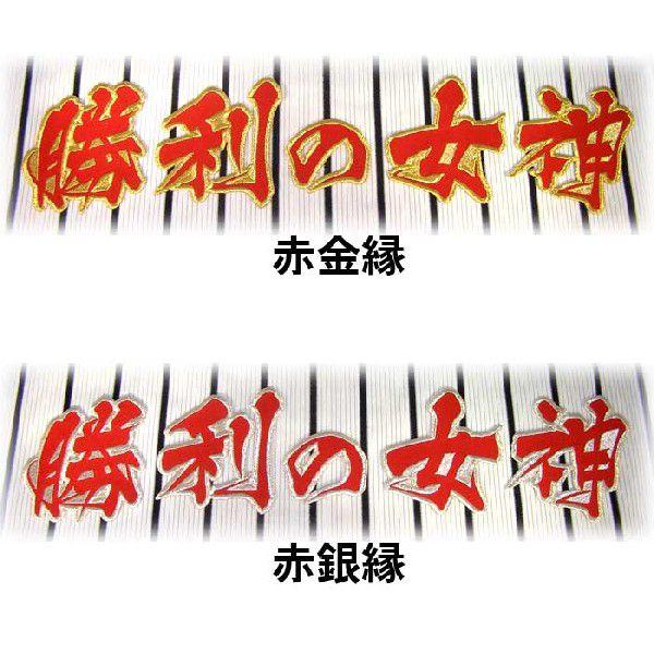 阪神タイガース勝利の女神ワッペン（小）mo