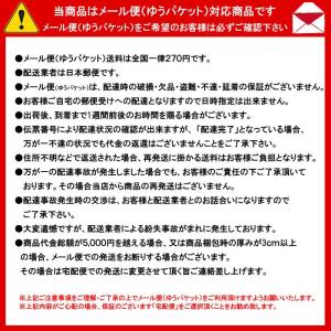 阪神タイガースアルファベットワッペン(現行版・...の詳細画像2