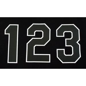 阪神タイガース背番号ワッペン（現行版・黒地白縁）