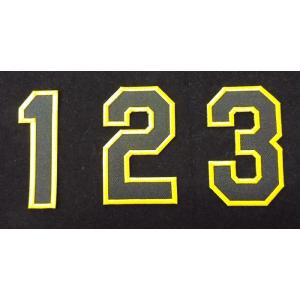 阪神タイガース胸番号ワッペン（現行版・黒地黄縁）