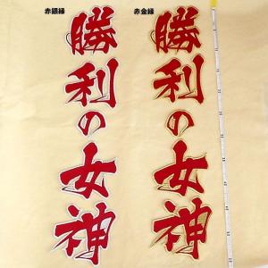 阪神タイガース六甲おろしワッペン2番（大） : ショップインパクト